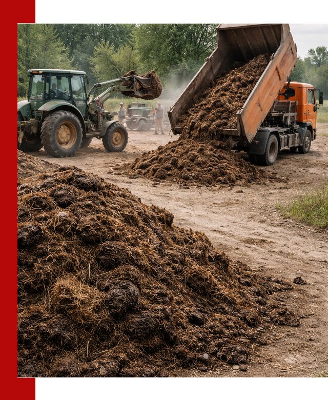 Доставка навоза самосвалами в Белогорске для сельхозпотребностей