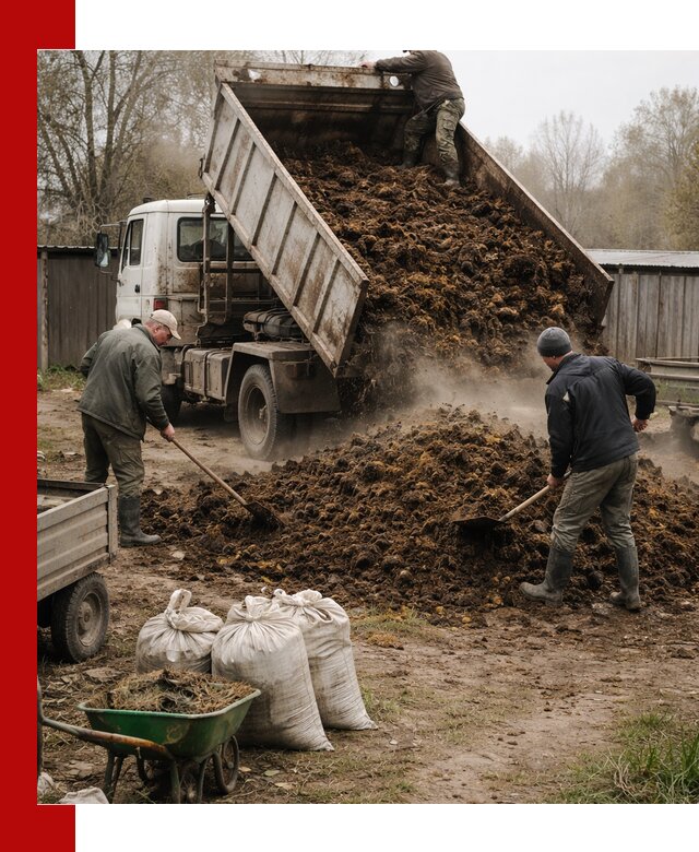 Доставка коровьего навоза самосвалом в Белогорске